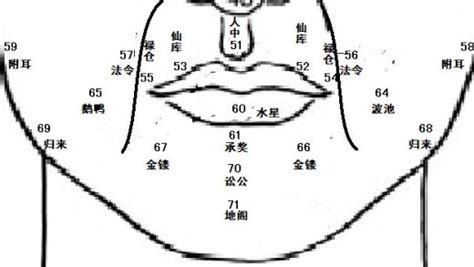 鼻面相|麦玲玲面相讲座之 鼻子 – 人相学